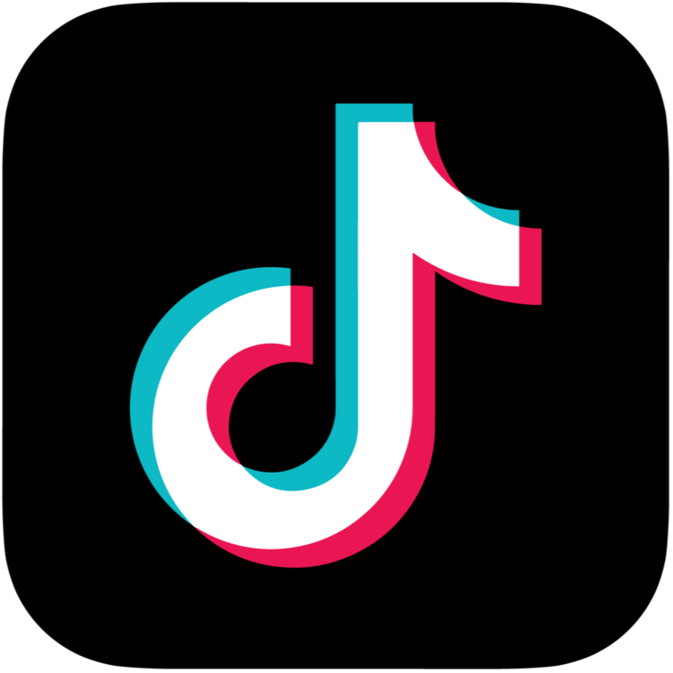 tiktok-logo-tiktok-logo-transparent-tiktok-icon-transparent-free-free-png_edited.png
