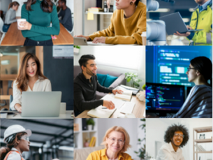 Employment Trends Quiz