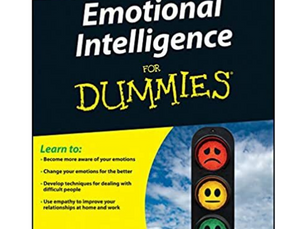 Emotional Intelligence For Dummies by Steven J. Stein
