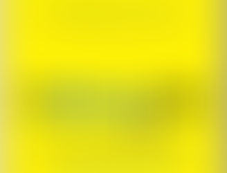 INDISTRACTABLE