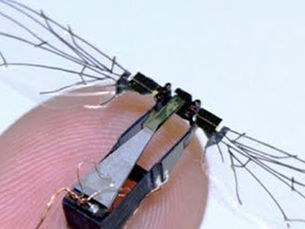 Robobee X-wing Tiny Flying Insect Robot, 4 Wings & Weighs Under A Gram & Fly Using Its Own Power