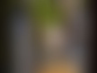 The Hobbiton Portal With Augmented Reality