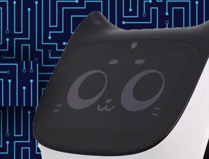 Robot Cat Made To Function As A Waiter