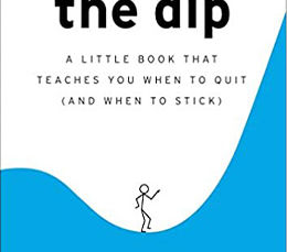 THE DIP
