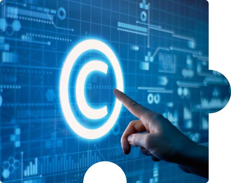 copyrightLicenses.png