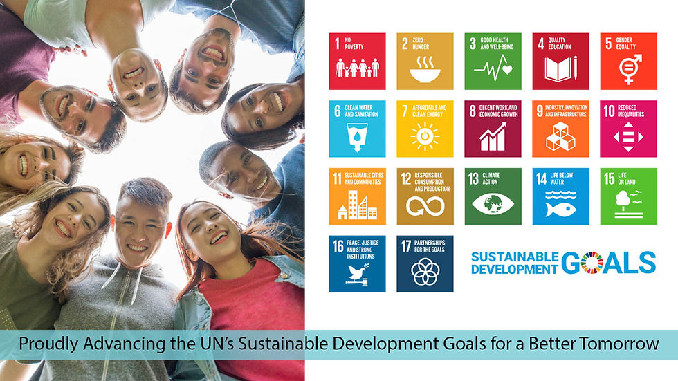 United Nations (UN) Sustainable Development Goals (SDGs)